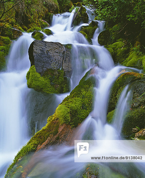 Wald  fließen  Regen  Insel  Wasserfall  British Columbia  Kanada  Vancouver