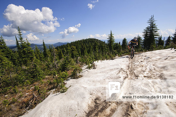 Mountain biking along the Seven Summits trail in Rossland. Kootenay Rockies region  British Columbia  Canada