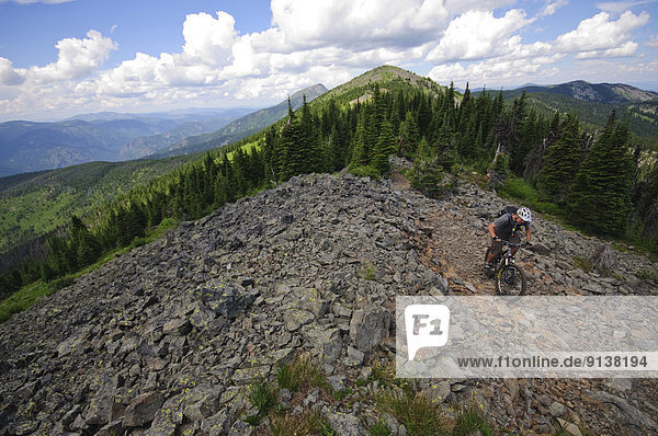 Mountain biking along the Seven Summits trail in Rossland. Kootenay Rockies region  British Columbia  Canada