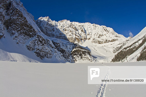 Skifahrer  unbewohnte  entlegene Gegend  Banff Nationalpark  Glocke