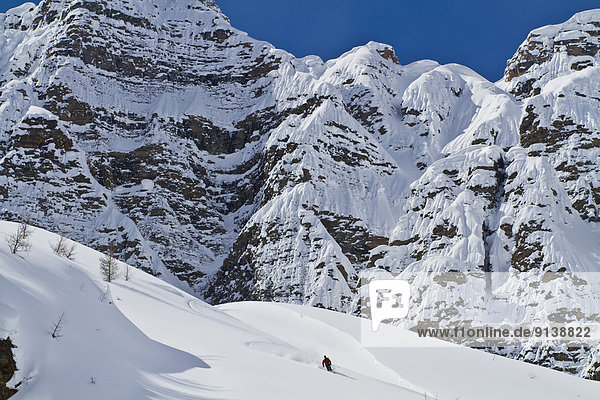 A male backcountry skier on tele skis find deep powder on a bluebird day. Mt. Bell  Banff National Park  AB