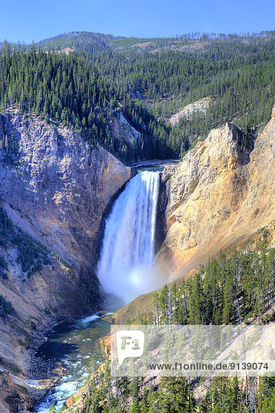 Vereinigte Staaten von Amerika  USA  Yellowstone Nationalpark  Lower Falls  Wyoming