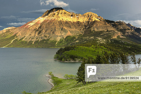 See  Ansicht  Waterton Lakes Nationalpark  Alberta  Kanada