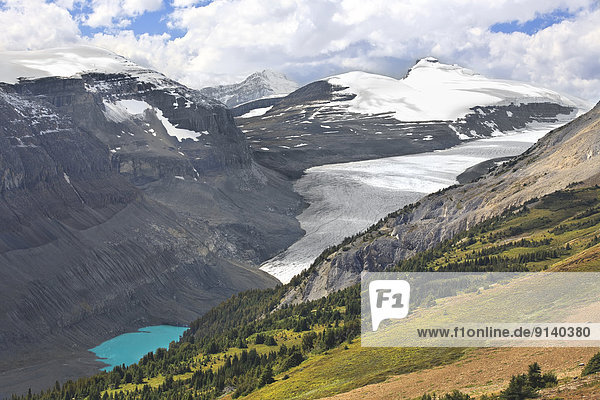 Saskatchewan Glacier in the Columbia Icefield  viewed from Parker Ridge  Banff National Park  Alberta  Canada