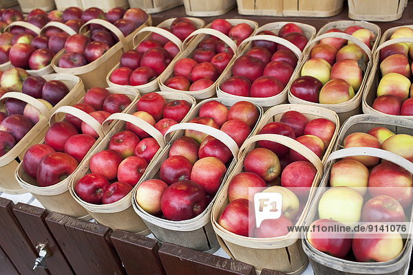Korb  rot  Apfel  Landwirtin  Kanada  Markt  Quebec