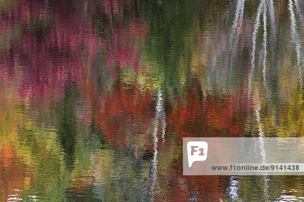 nahe  Farbaufnahme  Farbe  Spiegelung  Abstraktion  Herbst  Quebec