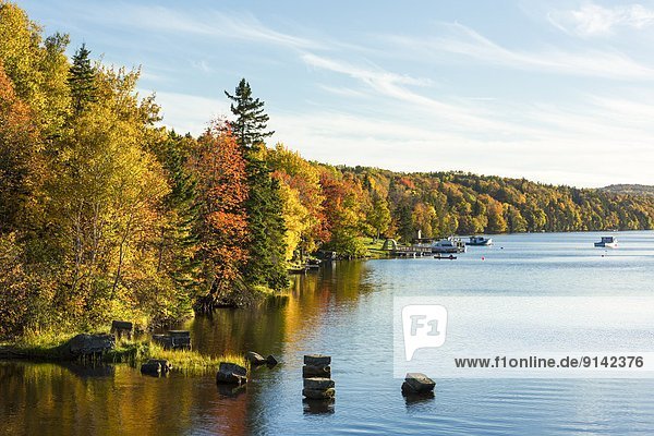 Fall foliage  Barrachois  Bras d'or Lake  Cape Breton  Nova Scotia  Canada