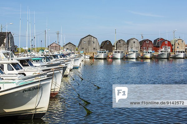 Fishing boats tied up at Malpeque Harbour wharf  Prince Edward Island  Canada