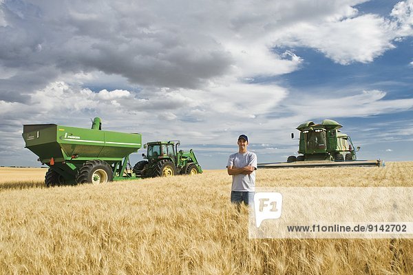 Young farmer in his mature durum wheat field during the harvest  grain wagon and combine in the background  near Ponteix  Saskatchewan  Canada