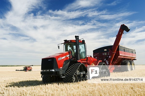 hoch  oben  nahe  Getreide  Traktor  ernten  Hintergrund  Weizen  Saskatchewan  Mähdrescher  Kanada
