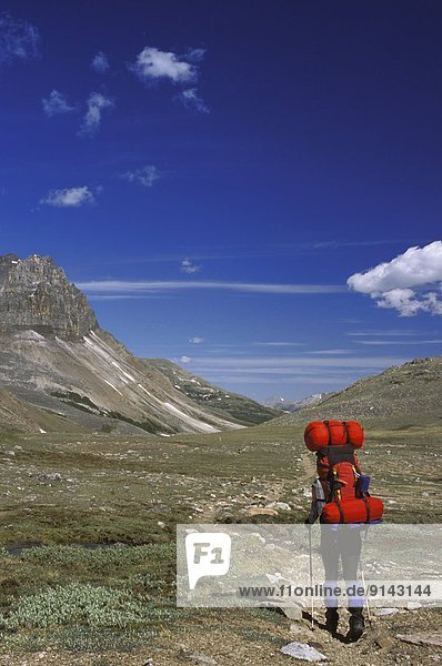 Woman carrying big backpack  Floe Lake Trail  Kootenay National Park  British Columbia  Canada