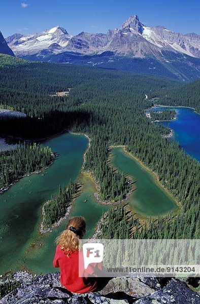 Overlooking Yoho National Park and Lake O'Hara from Opabin plateau. British Columbia  Canada