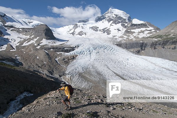Hiker above Robson Glacier  Mount Robson Provincial Park  British Columbia  Canada