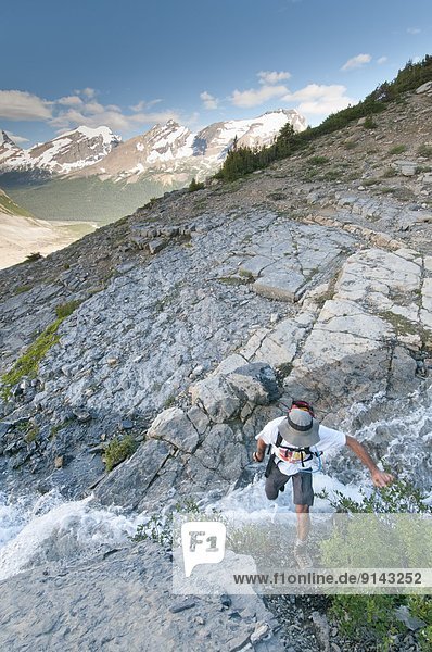 nahe  springen  Mount Robson Provincial Park  British Columbia  Kanada