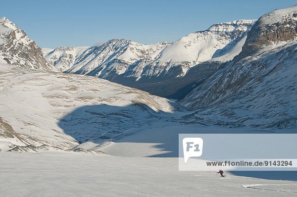 Skier descending glacier on Wapta Icefield toward Peyto Lake  Banff National Park  Alberta  Canada