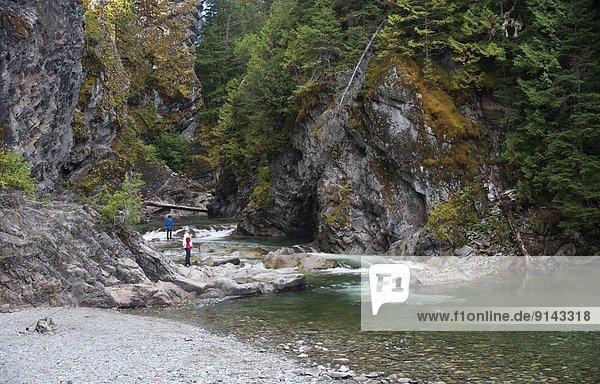 Kleanza Creek  Kleanza Creek Provincial Park  Highway #16  E of Terrace  Northern British Columbia  Canada