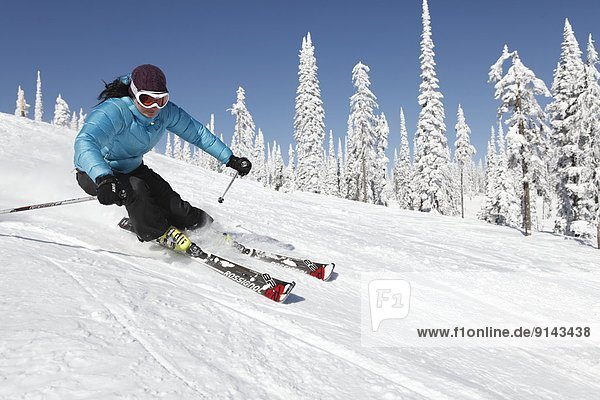 Female skier at Silver Star Mountain Resort  near Vernon  Okanagan  British Columbia  Canada