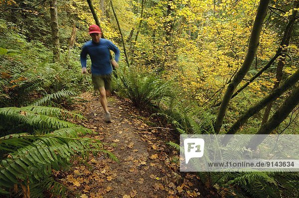 Autumn trail running on Mel's Trail. Burnaby Mountain  British Columbia  Canada