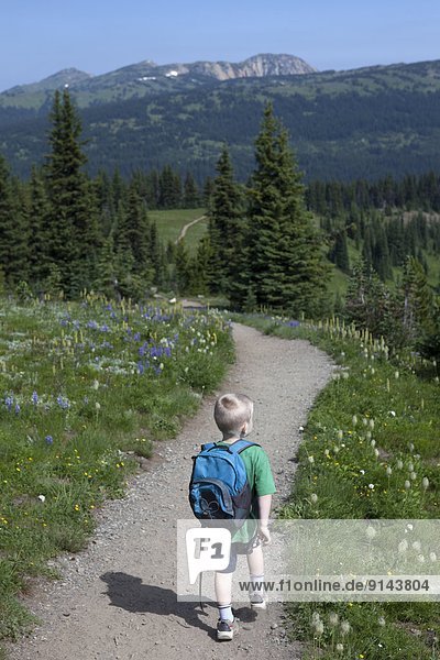 Young Boy Hiking on Heather Trail  Manning Provincial Park  British Columbia  Canada