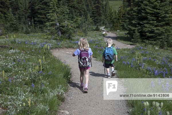 Young Boy and Girl Hiking in Alpine Meadows  Heather Trail  Manning Provincial Park  British Columbia  Canada