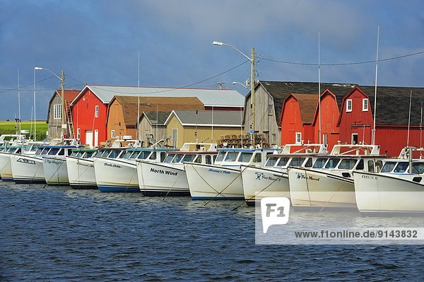 Fishing boats and huts  Malpeque  Prince Edward Island  Canada