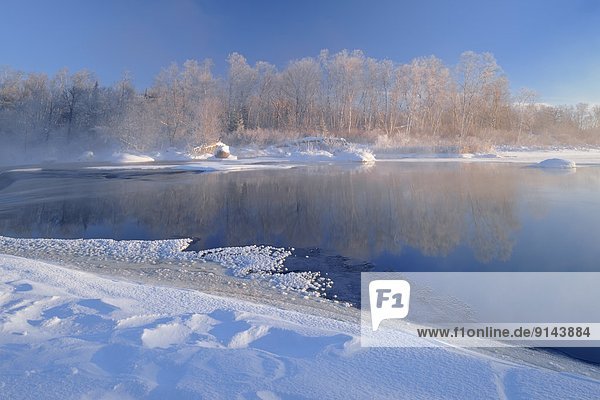 Hoarfrost on shore of the Whiteshell River  Whiteshell Provincial Park  Manitoba  Canada