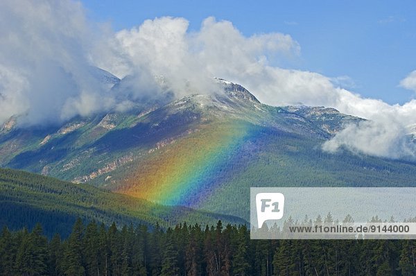 Rainbow and Canadian Rocky Mountains  Mount Robson Provincial Park  British Columbia  Canada