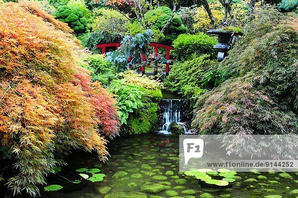 The Japanese Garden at Butchart Gardens in Victoria  BC.  Canada