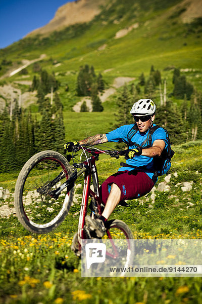A male mountain biker rides the 401 Trail  Crested Butte  CO