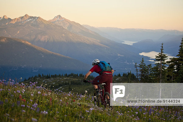 A male mountain biker rides the flowy  high alpine Frisby Ridge trail. Revelstoke  BC