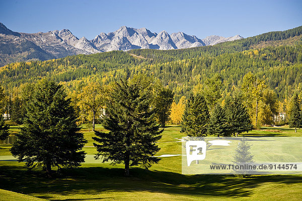 Hintergrund  Herbst  Golfsport  Golf  Fernie  British Columbia  Kanada  Kurs  Echse