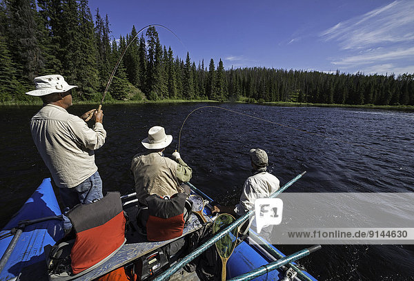 Fly fishing  Blackwater River  British Columbia  Canada