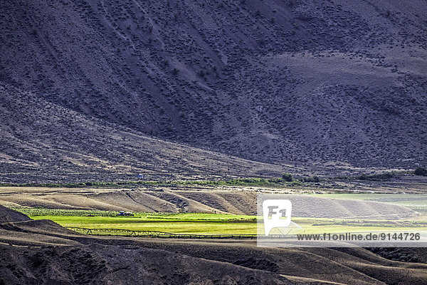 Weide Weideland Cariboo–Chilcotin British Columbia Kanada
