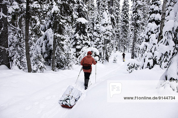 Ski touring  Back country skiing  Bowron Lake Park  British Columbia  Canada