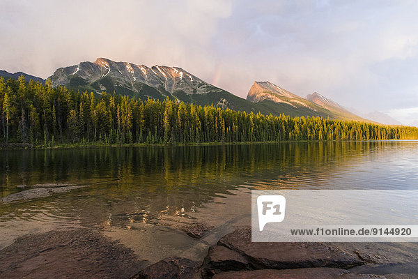 Sommer  See  Regen  Hochzeitsreise  Jasper Nationalpark  Alberta  Kanada  Sonne