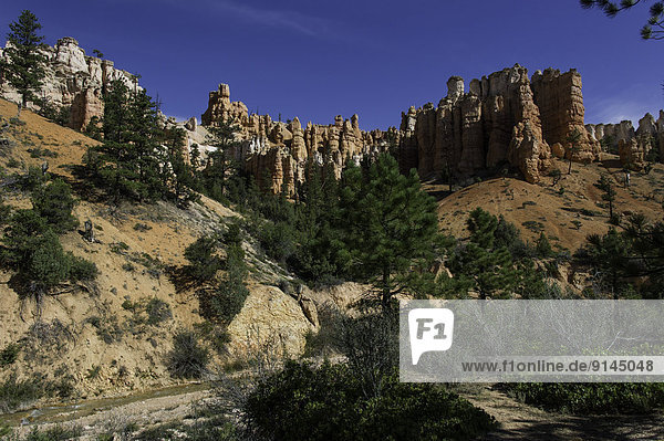 Vereinigte Staaten von Amerika  USA  folgen  Höhle  Steinschlag  Moos  Bryce Canyon Nationalpark  Schlucht  Utah