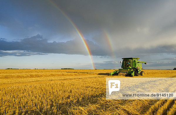 rainbow and combine harvester during the spring wheat harvest near Landmark  Manitoba  Canada