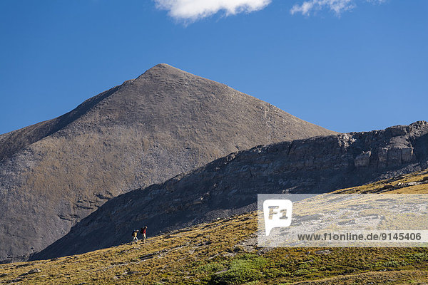 Two hikers ascend Wilcox Pass in Jasper National Park Alberta  Canada. Model Released
