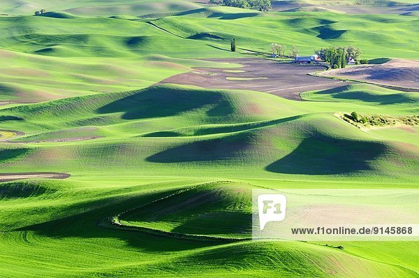 A farm and rolling farm land in the Palouse region in Washington State  USA.