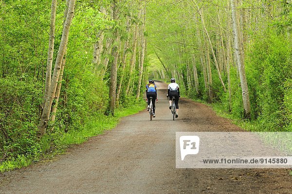 Lochside Trail with red alders  Alnus rubra  Saanich Peninsula  Vancouver Island  British Columbia  Canada