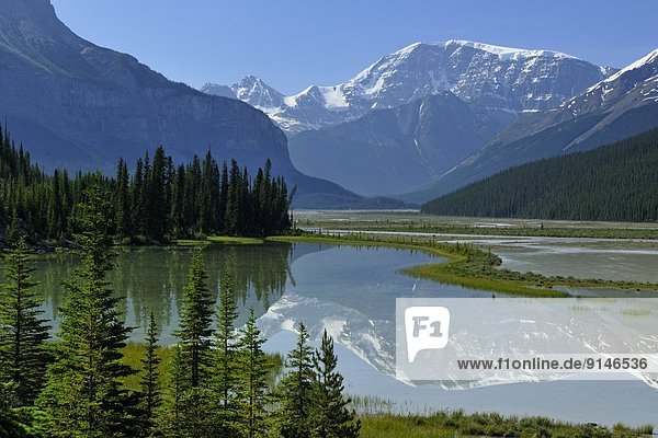 nahe  Beauty  Fluss  Spiegelung  Bach  Jasper Nationalpark  Alberta  Kanada  Kitchener