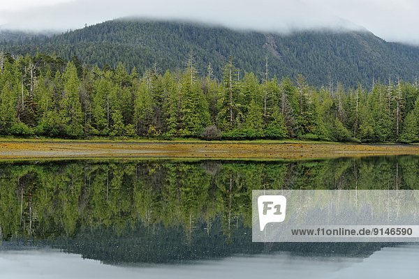 niedrig  Hafen  Tasche  Spiegelung  Gezeiten  Insel  Königin  British Columbia  Kanada  Haida  Reflections