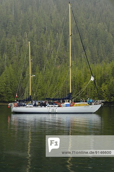 Beleuchtung  Licht  Ozean  British Columbia  Kanada  Meeresarm