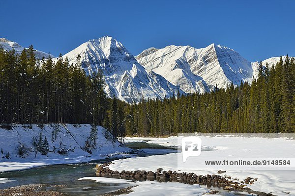 A horizontal image of the snow-capped rocky mountains along the Athabasca river in Jasper National Park Alberta Canada.
