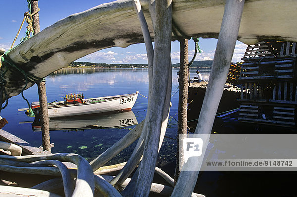 Whale bones on wharf framed wood dory and fisherman  Dildo  Newfoundland  Canada