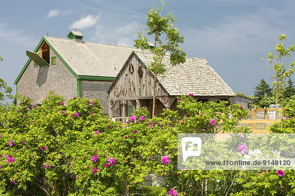 Dachgiebel  Giebel  grün  Dorf  Scheune  Kanada  Prince Edward Island