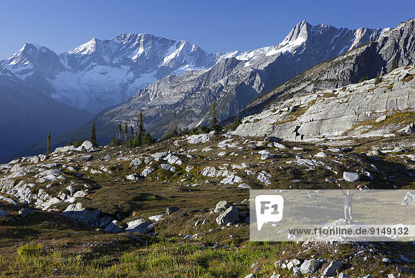 British Columbia  Kanada  Glacier Nationalpark