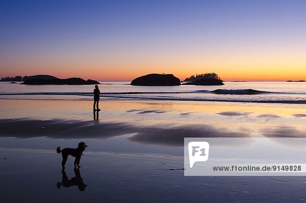 Visitors at sunset in sillouette  MacKenzie's Beach  Tofino  British Columbia  Canada