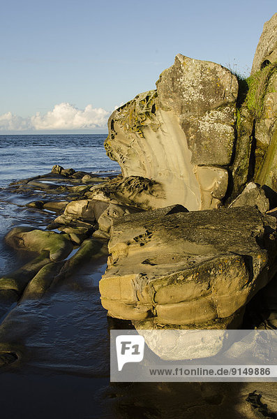 Küste  zeigen  Ländliches Motiv  ländliche Motive  British Columbia  Kanada  Sandstein
