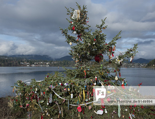 Anschnitt Strand Weihnachtsbaum Tannenbaum Dekoration Gemeinschaft British Columbia Kanada Quimper